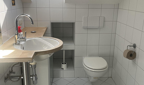 Renovierte Dachgeschoss Wohnung mit Stadtparkblick