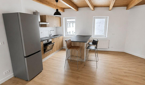 Frisch sanierte 4-Zimmer-Altbauwohnung mit Wohnküche, Holzbalkendecke & Tageslichtbad
