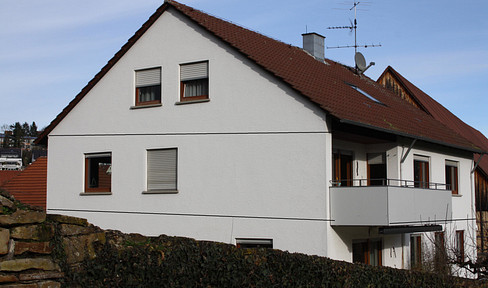 Renovated and bright 3.5-room apartment with a like-new fitted kitchen.
