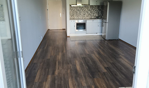 Completely renovated 1-bedroom apartment with a balcony, fitted kitchen, and forest views, located in an excellent transport hub in Neu-Isenburg.