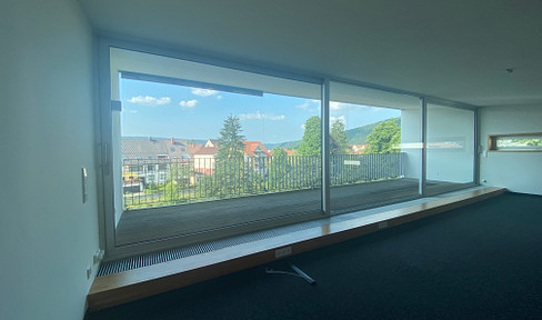 Besonderes Penthaus mit Donaublick