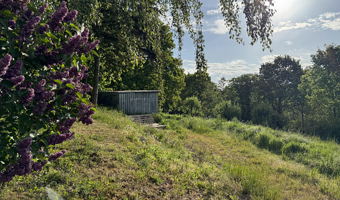 Naturgrundstück für Tinyhaus oder Jurte im Landschaftsschutzgebiet des Naturparks Stettiner Haff