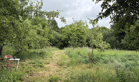 4,340 m² of natural space in Biesenthal, featuring mature trees and a stream.