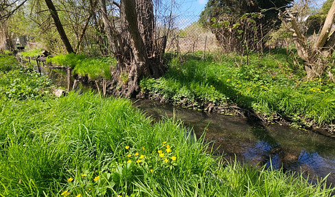 4,340 m² plot of land in Biesenthal, featuring mature trees and a stream – available commission-free.