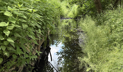 4.340 m² Natur in Biesenthal mit altem Baumbestand und Wasserlauf