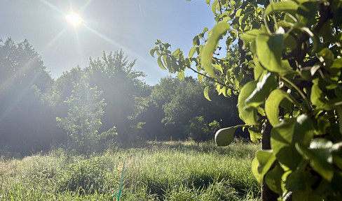 4,340 m² of natural space in Biesenthal, featuring mature trees and a stream.