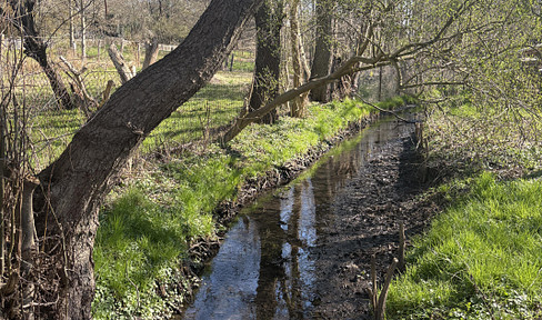4.340 m² Naturgrundstück in Biesenthal mit altem Baumbestand und Wasserlauf – provisionsfrei
