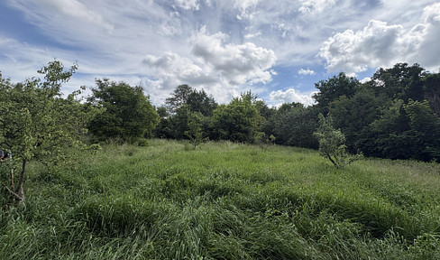 4.340 m² Natur in Biesenthal mit altem Baumbestand und Wasserlauf
