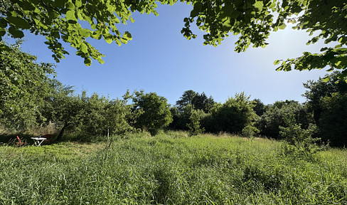 4.340 m² Natur in Biesenthal mit altem Baumbestand und Wasserlauf