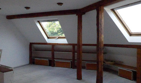 For sporty individuals: newly renovated top-floor apartment.