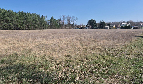 Land for sale (729 square meters) in Zossen, district of Schöneiche, postcode 15806. (No developer involved.)