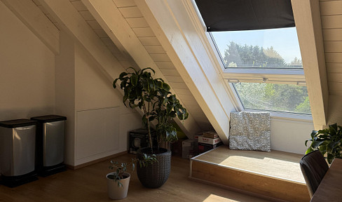 All-inclusive rental: Exclusive attic apartment with panoramic windows in a quiet location in Speyer.