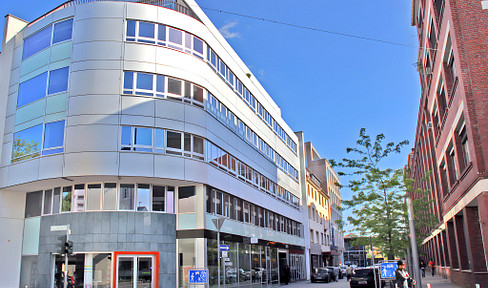 Dreamlike penthouse, fully air-conditioned, with a large rooftop terrace.