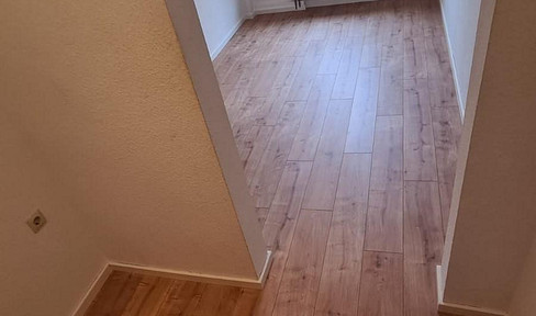 Tastefully renovated 2-room apartment in Jena, including internet, electricity, and TV.