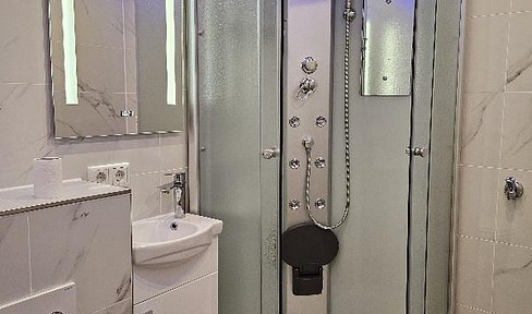 Wunderschöne 3-Zi.-Whg. neu renoviert - frei oder als Kapitalanlage