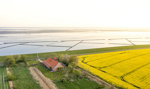 Vermietete Denkmal-FeWo am Nordseedeich – 4,95★, provisionsfrei, ~250 Nächte/Jahr