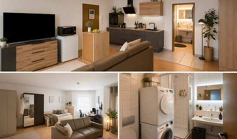 Furnished 1-bedroom apartment in Salach.