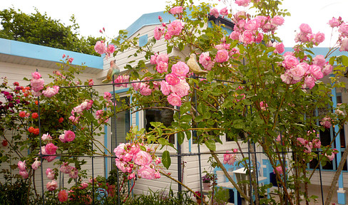 Charming single-family home in a bungalow style, featuring a romantic rose garden.