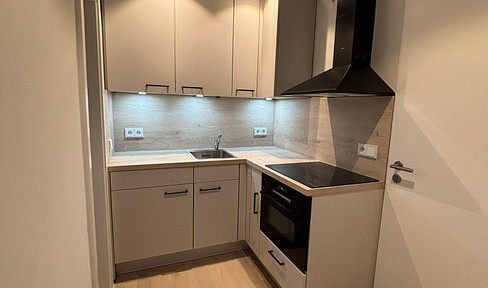 Renovated, quiet 1-bedroom apartment with good transport links.