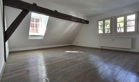 Attractive 4.5-room apartment on the outskirts of the old town.