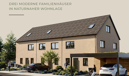 Construction of 3 terraced houses in Neunkirchen am Sand.