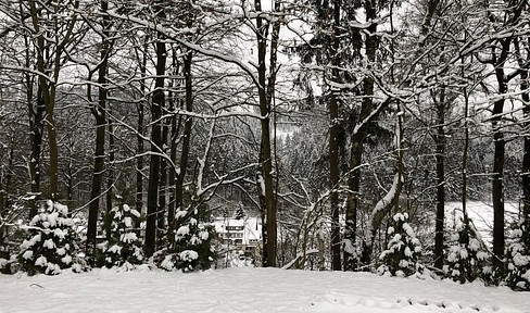 Ferienhaus im Harz Kapitalanlage / Renditeobjekt Sauna