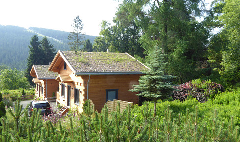 6 log cabins/vacation homes with very good return on investment, in a prime location. Available for individual or combined sale.
