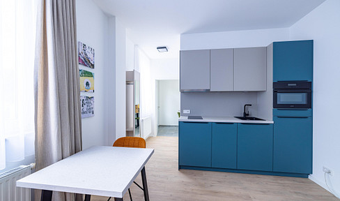 Attraktive 2-Zimmer-Neubauwohnung mit moderner Einbauküche WE 11