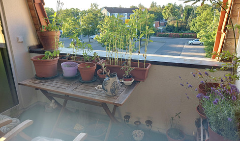 Schöne 2- Zimmerwohnung zu vermieten mit Balkon und Stellplatz