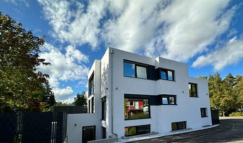 Modern, spacious single-family home with a separate apartment and garage, located on the edge of the forest.