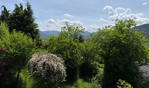 812 m² Baugrundstück in begehrter Wohnlage m. Altbestand | Bauvorbescheid vorhanden | DHH oder EFH