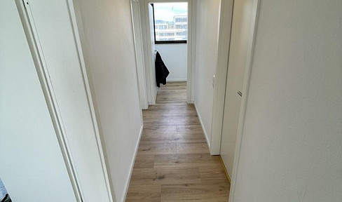 3 zimmer Wohnung