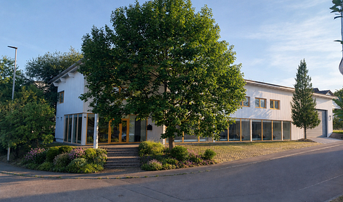 Residential and commercial building – versatile use, 479 square meters, 15 rooms, hall, and garden.