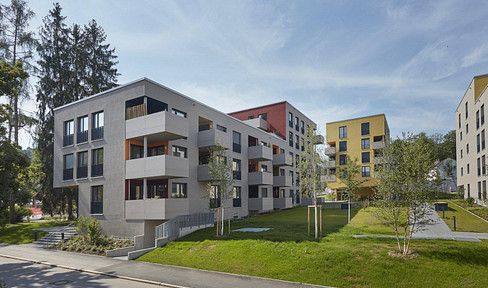 Attractive 3-room apartment with a balcony, fitted kitchen, and partially furnished, located in Tübingen.