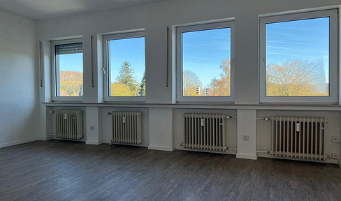 Große 2-Zimmer Wohnung mit EBK in Detmold