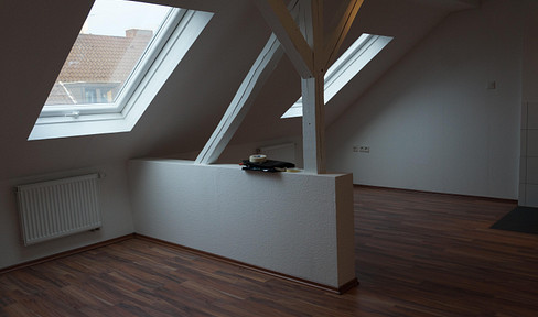 3,5 Zimmer Altbaudecken u Balkon. Küchenübernahme  optional 1 Mansardenzimmer