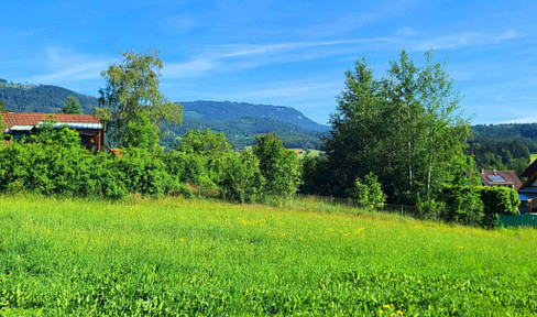 Sunny location at the edge of the forest, with views of the Schöckl mountain, and free from any encumbrances (1 available for negotiation/1 free).