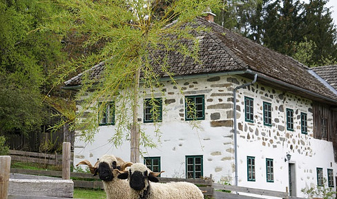 Traditioneller Mühlviertler Stoabloßhof in idyllischer Ruhelage - Oberhalb der Nebelgrenze