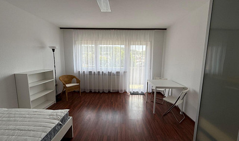 Möbliertes 1-Zimmer-Apartment mit Balkon & Stellplatz nahe Heidelberg
