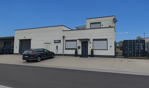 Residential and commercial building with a hall, offices, apartment, and garden, covering 507 square meters.