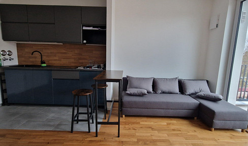High-quality new construction apartment | Attic apartment | Large southwest-facing balcony | Fully furnished.