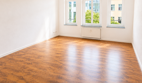 Large, bright 4-room apartment, located on Halberstädter Straße.