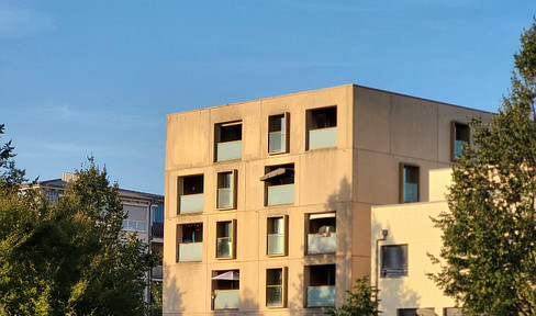 3 Zimmer Penthouse Wohnung Wiley Süd