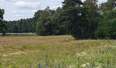 Sonniges Grundstück in begehrter Ortsrandlage – 525 m² mit Südausrichtung und freiem Blick ins Grüne