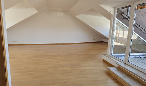 Spacious home in the Neckarau district of Mannheim.