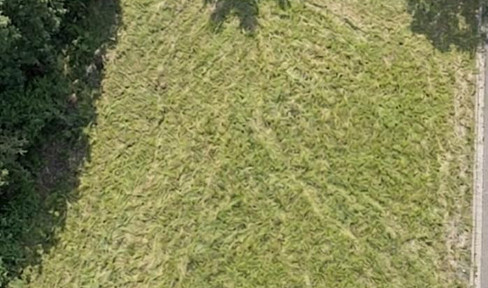Provisionsfrei: Erschlossenes 800 m² Baugrundstück (EFH/DH) mit Süd-Garten in ruhiger Sackgasse