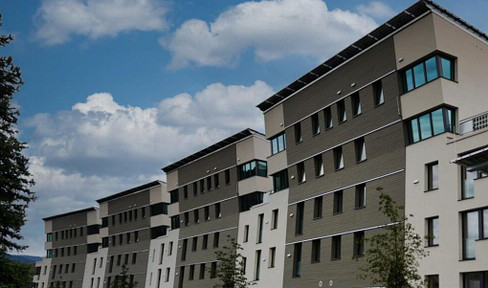 Exklusive 4,5-Zimmer-Designerwohnung in der Solarsiedlung Schallstadt – Nachhaltig, modern