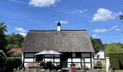 FEE-FREE UNTIL SEPTEMBER 30TH - Renovated farmhouse, barn, and 2,100 m² of land located in a nature park.