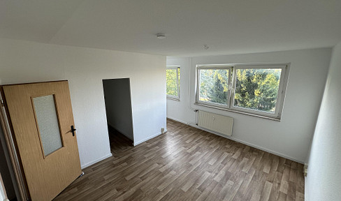 Renovated one-room apartment in Lusan, Gera.
