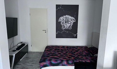 Möblierte 1,5 Zimmer Wohnung in Kirchheim am Neckar zu vermieten